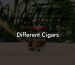 Different Cigars