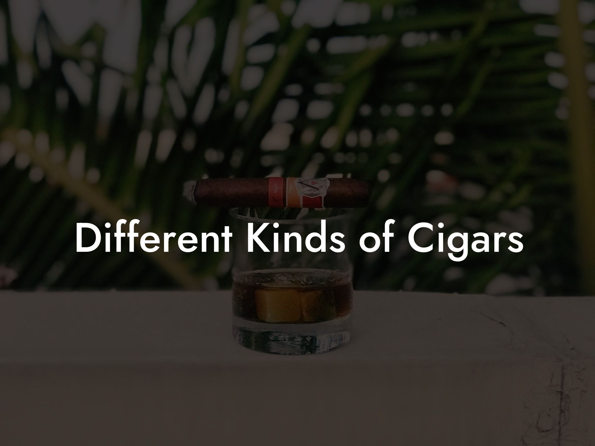 Different Kinds of Cigars