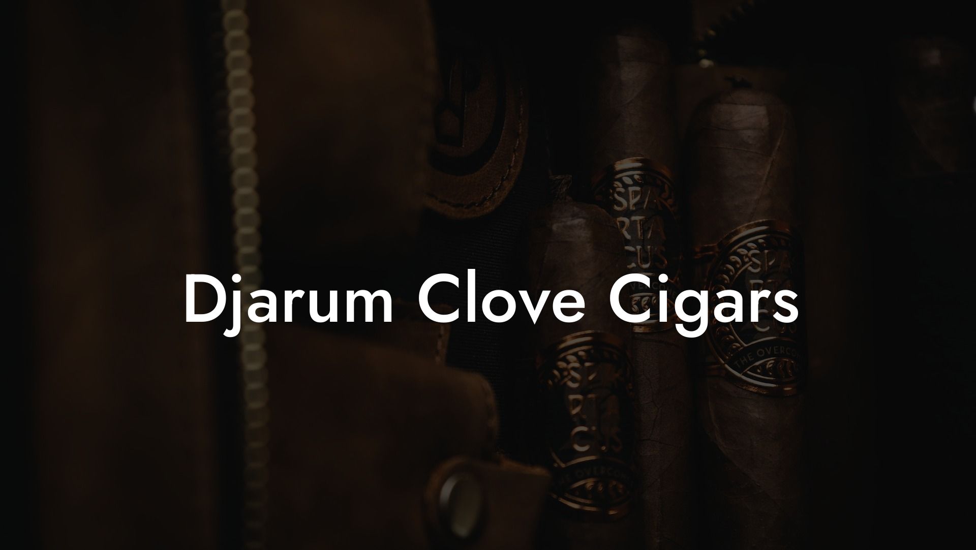 Djarum Clove Cigars