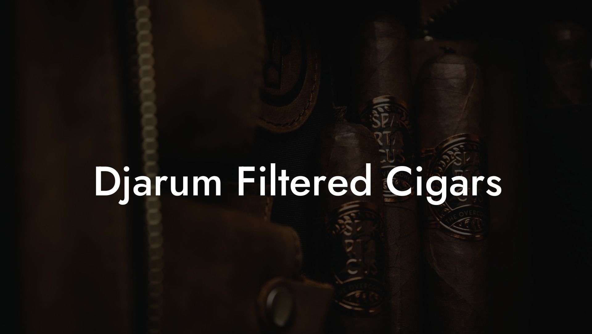 Djarum Filtered Cigars