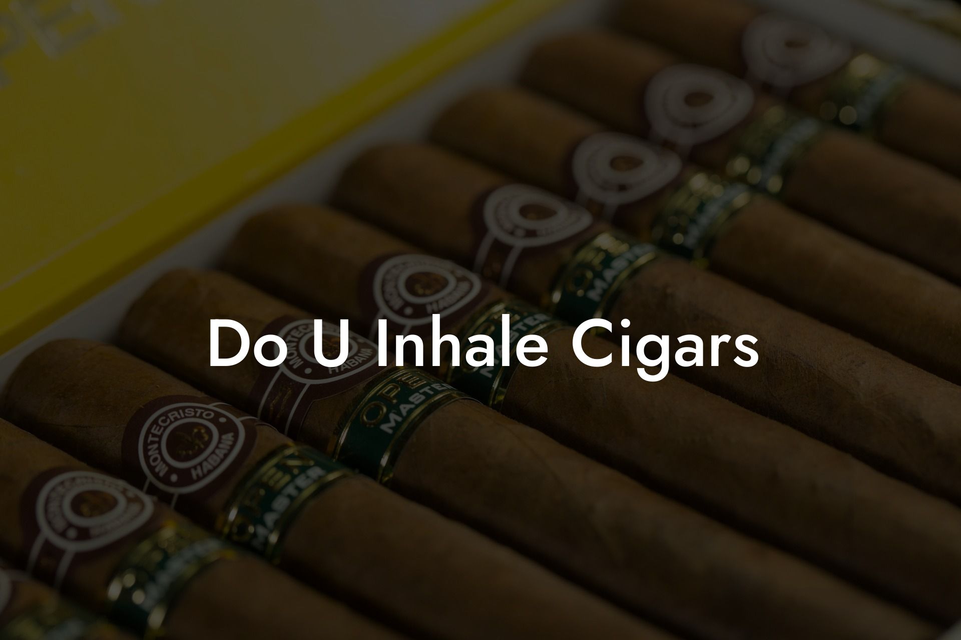 Do U Inhale Cigars