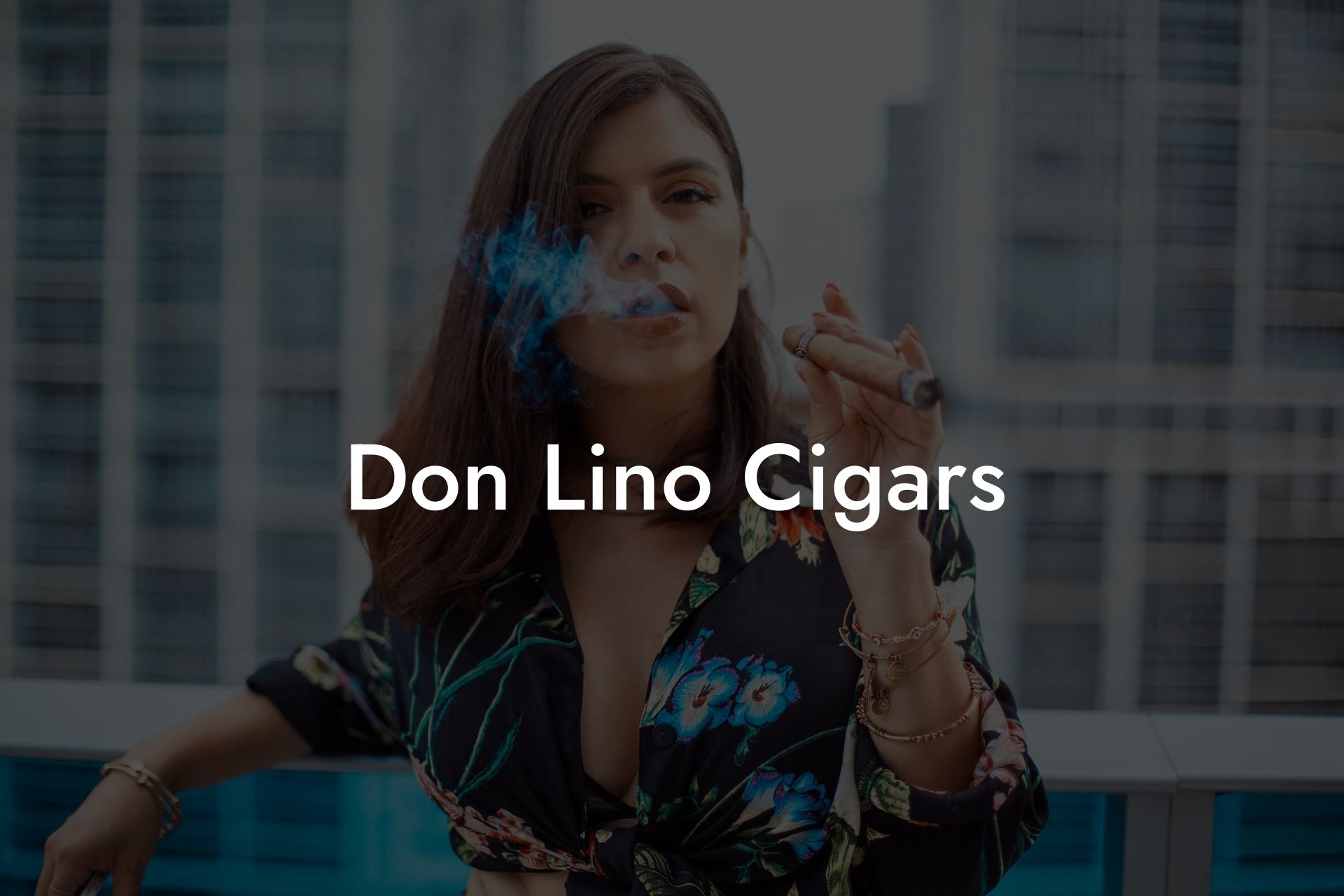 Don Lino Cigars