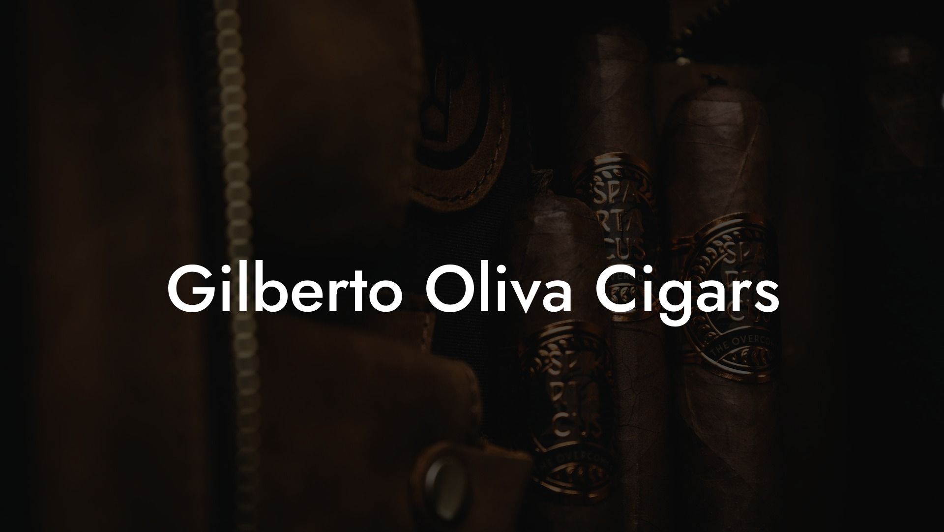 Gilberto Oliva Cigars