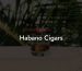 Habano Cigars