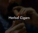 Herbal Cigars