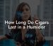How Long Do Cigars Last in a Humidor