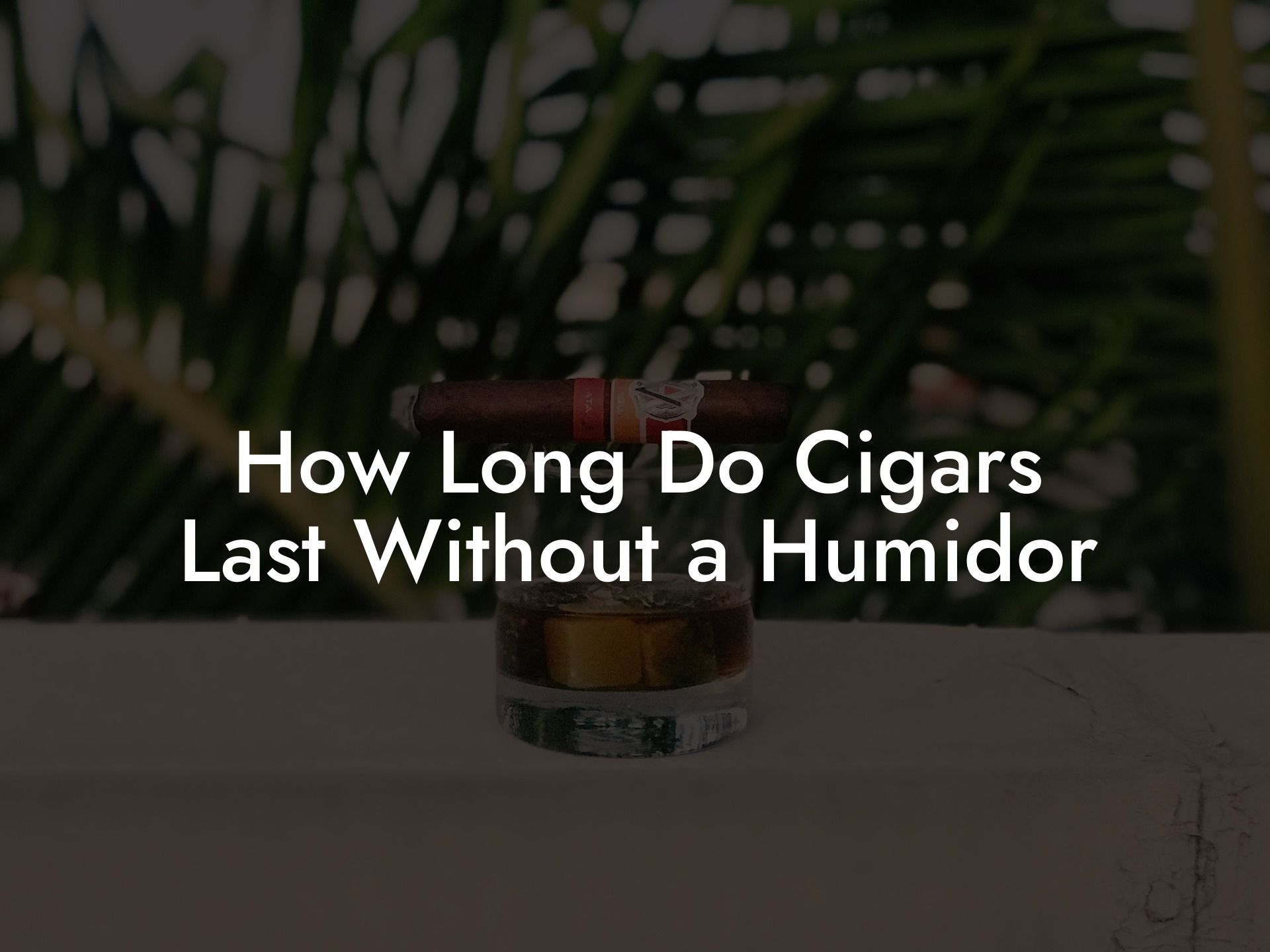 How Long Do Cigars Last Without a Humidor