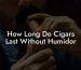 How Long Do Cigars Last Without Humidor