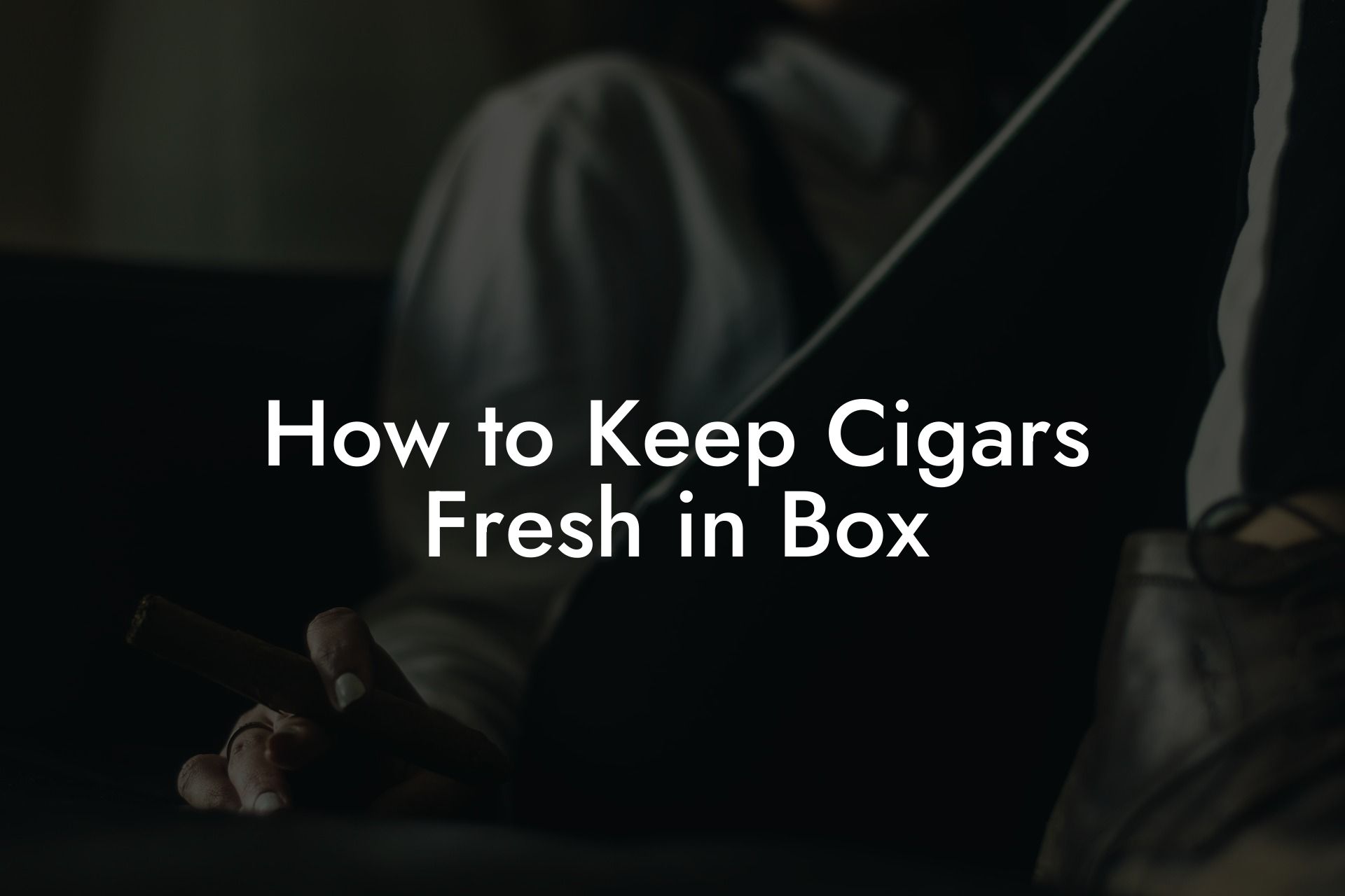 How to Keep Cigars Fresh in Box