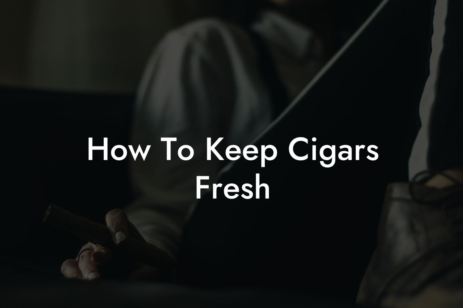 How To Keep Cigars Fresh Swinger Cigar Cigar Lifestyle