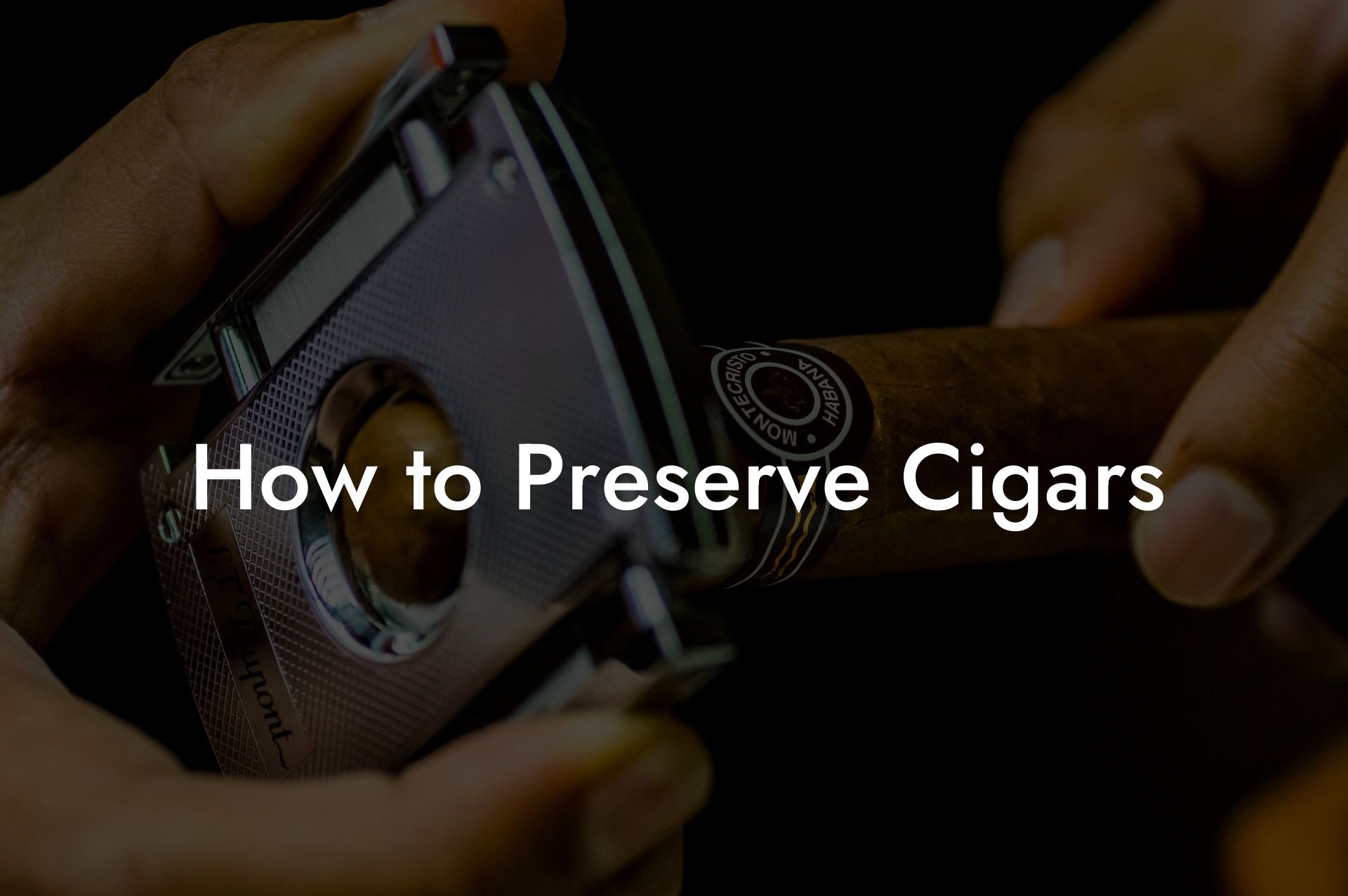 How to Preserve Cigars