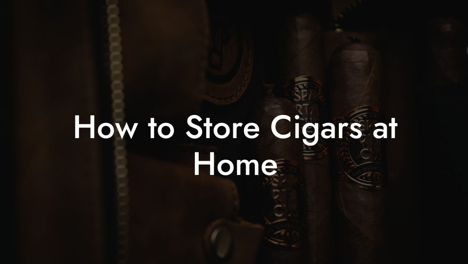 How to Store Cigars at Home Swinger Cigar Cigar Lifestyle