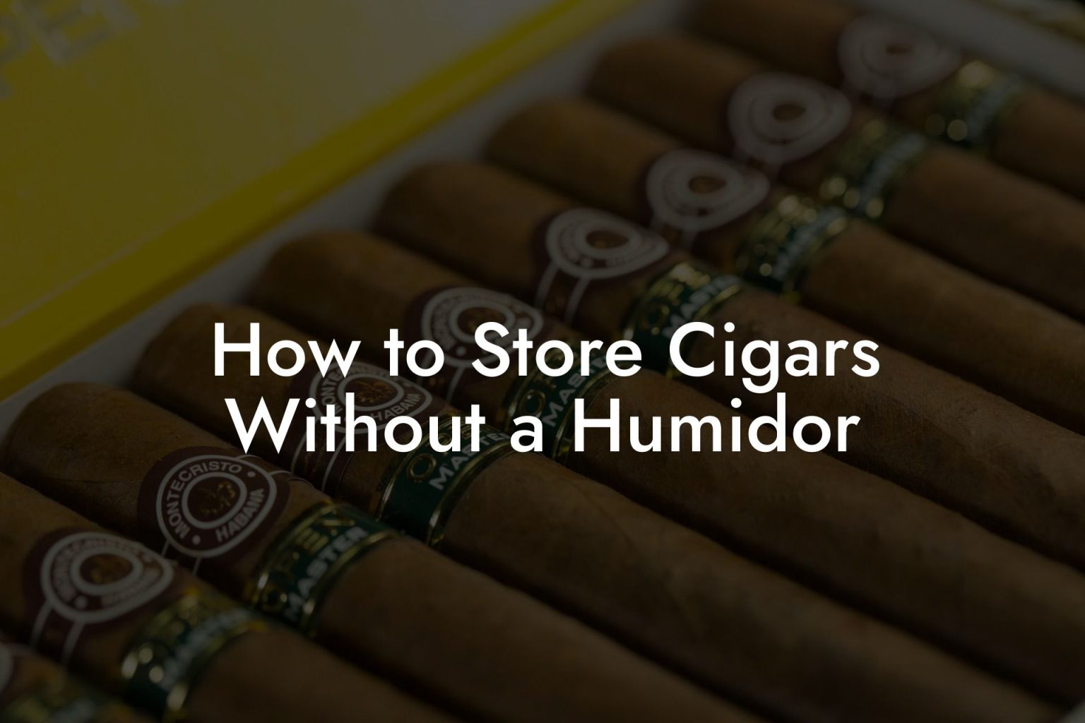 How To Store Cigars Without A Humidor Swinger Cigar Cigar Lifestyle