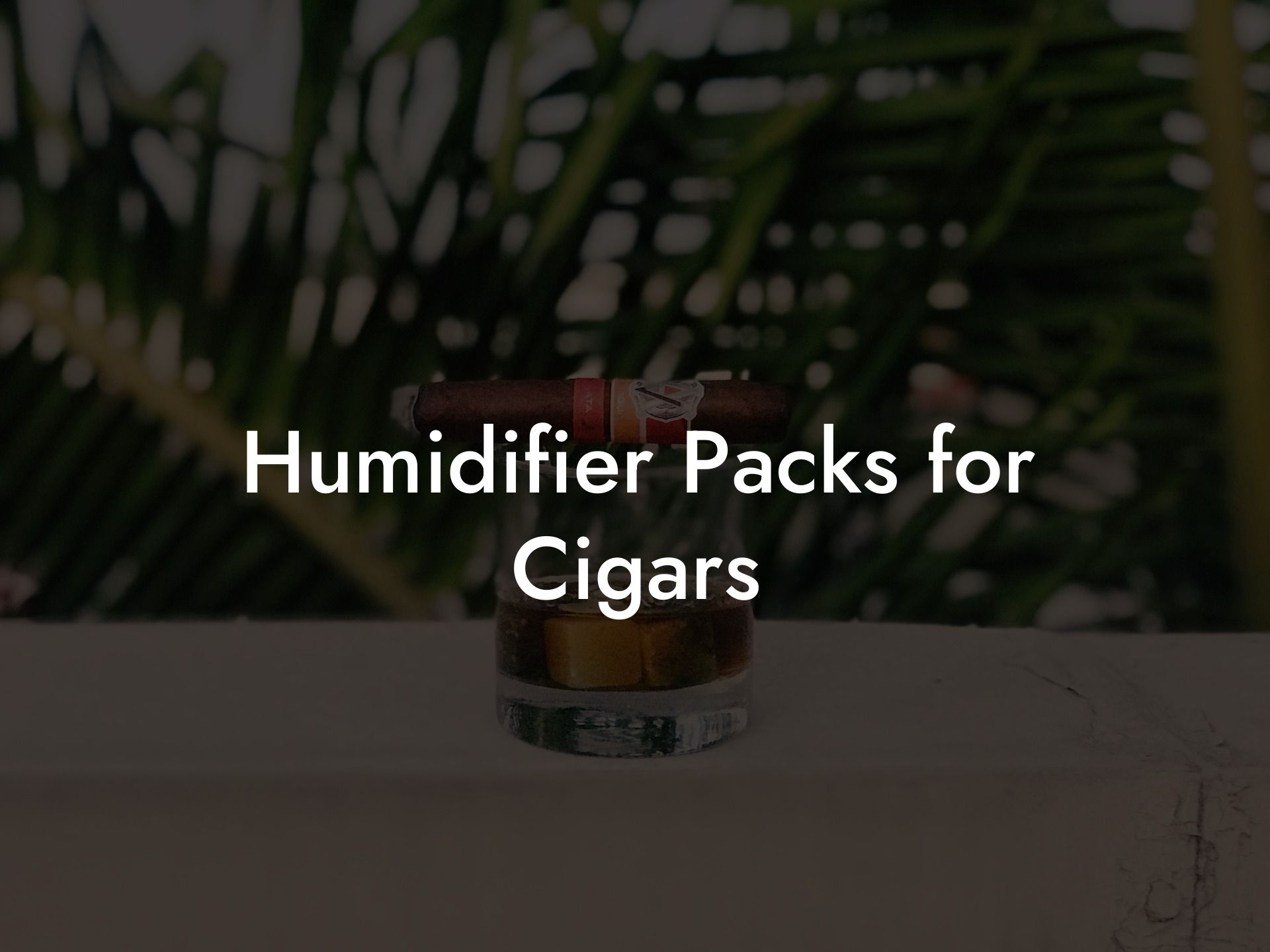 Humidifier Packs for Cigars