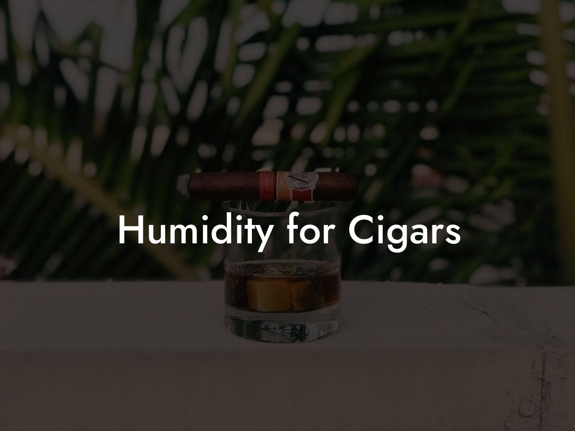 Humidity for Cigars