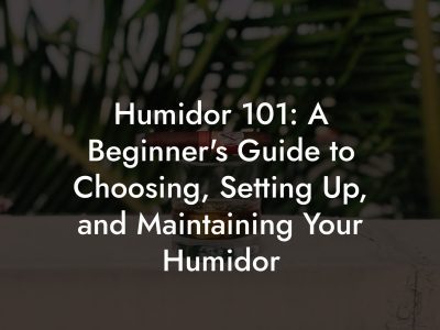 Humidor 101: A Beginner's Guide to Choosing, Setting Up, and Maintaining Your Humidor Humidor 101: A Beginner's Guide to Choosing, Setting Up, and Maintaining Your Humidor