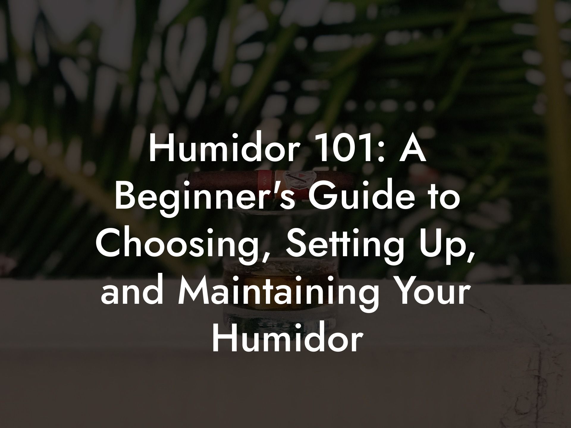 Humidor 101: A Beginner's Guide to Choosing, Setting Up, and Maintaining Your Humidor