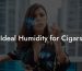 Ideal Humidity for Cigars