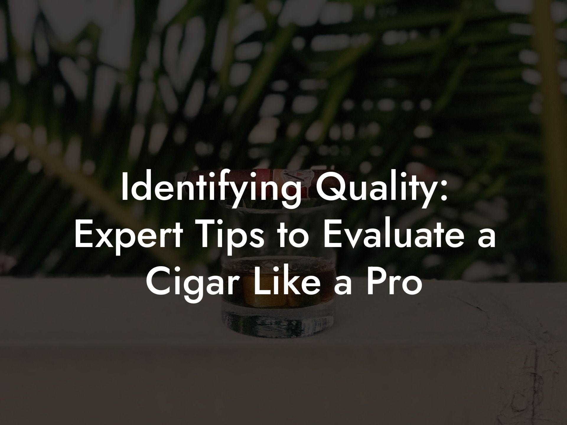 Identifying Quality: Expert Tips to Evaluate a Cigar Like a Pro