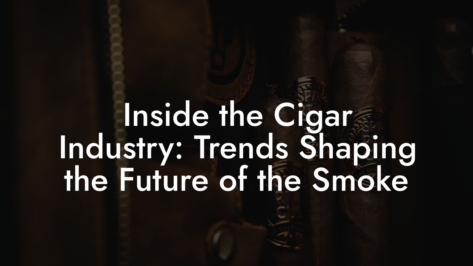 Inside the Cigar Industry: Trends Shaping the Future of the Smoke