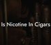 Is Nicotine In Cigars