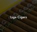 Liga Cigars