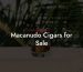 Macanudo Cigars for Sale