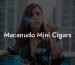 Macanudo Mini Cigars