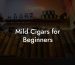 Mild Cigars for Beginners