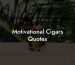 Motivational Cigars Quotes