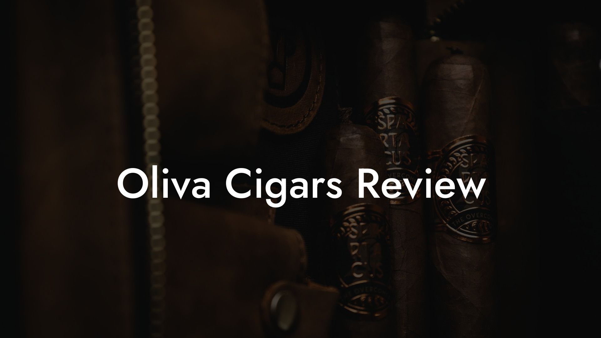 Oliva Cigars Review