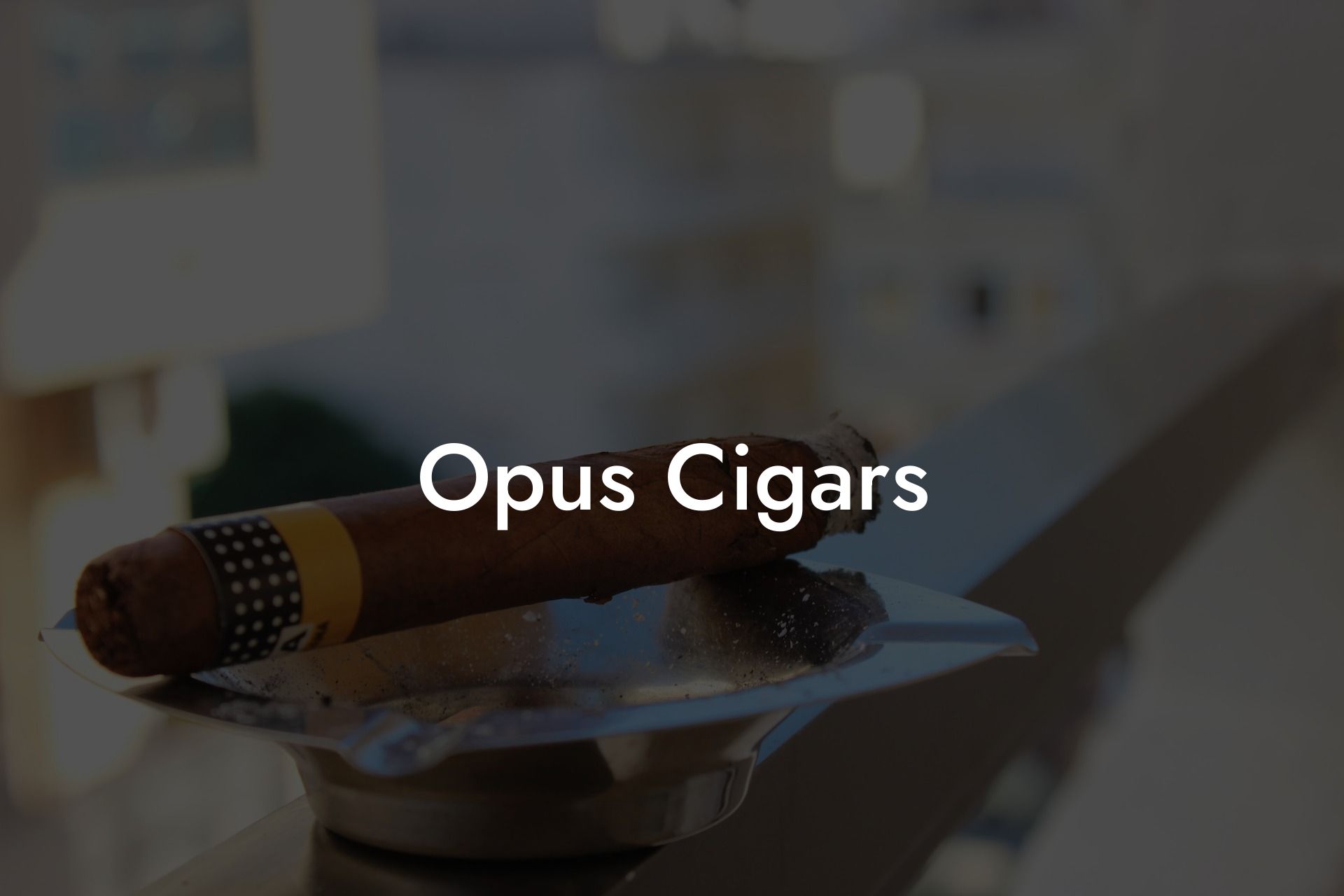 Opus Cigars