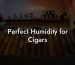 Perfect Humidity for Cigars