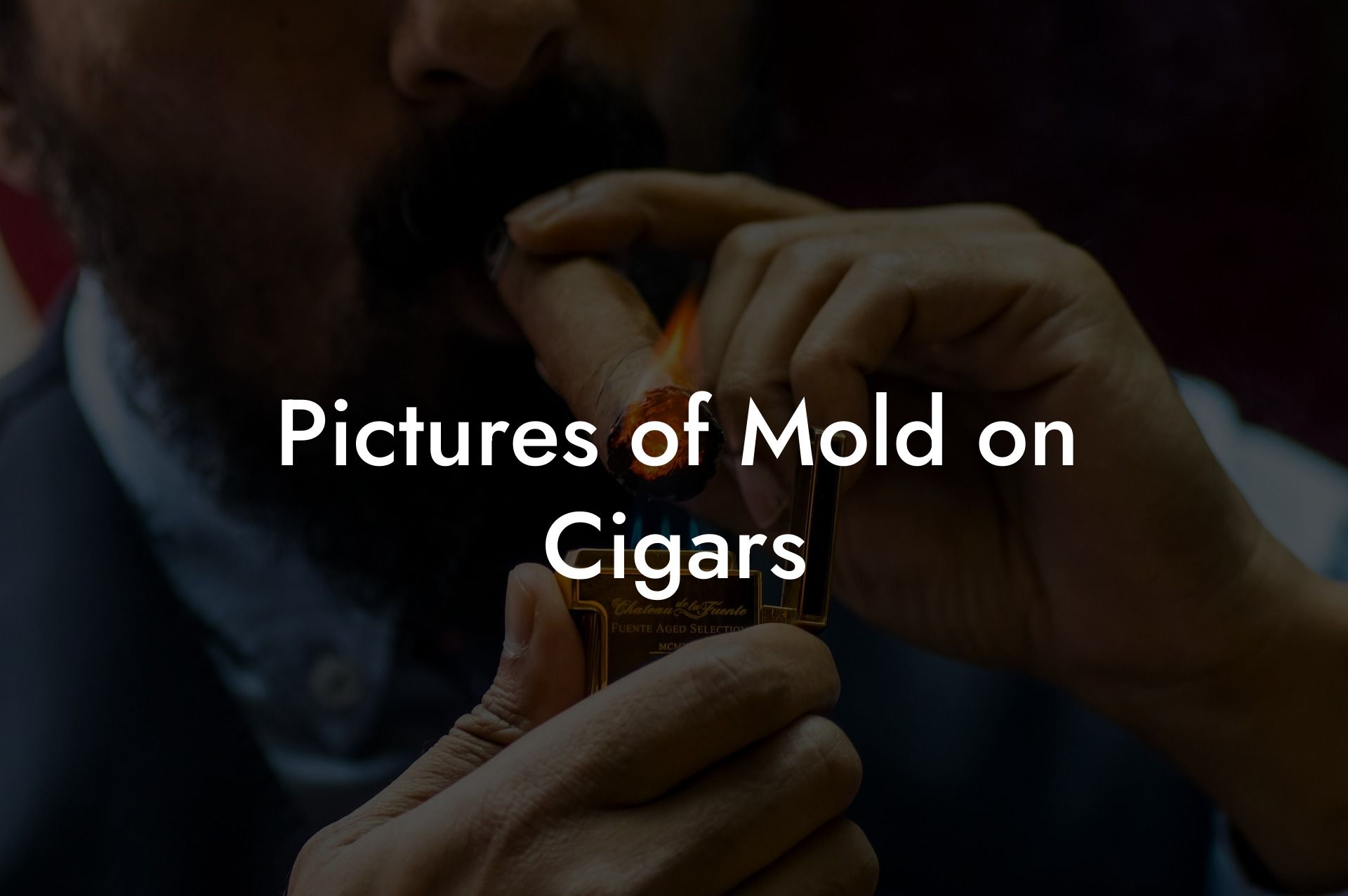 Pictures of Mold on Cigars