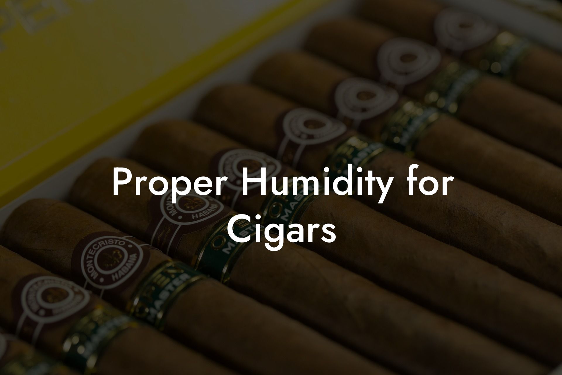 Proper Humidity for Cigars