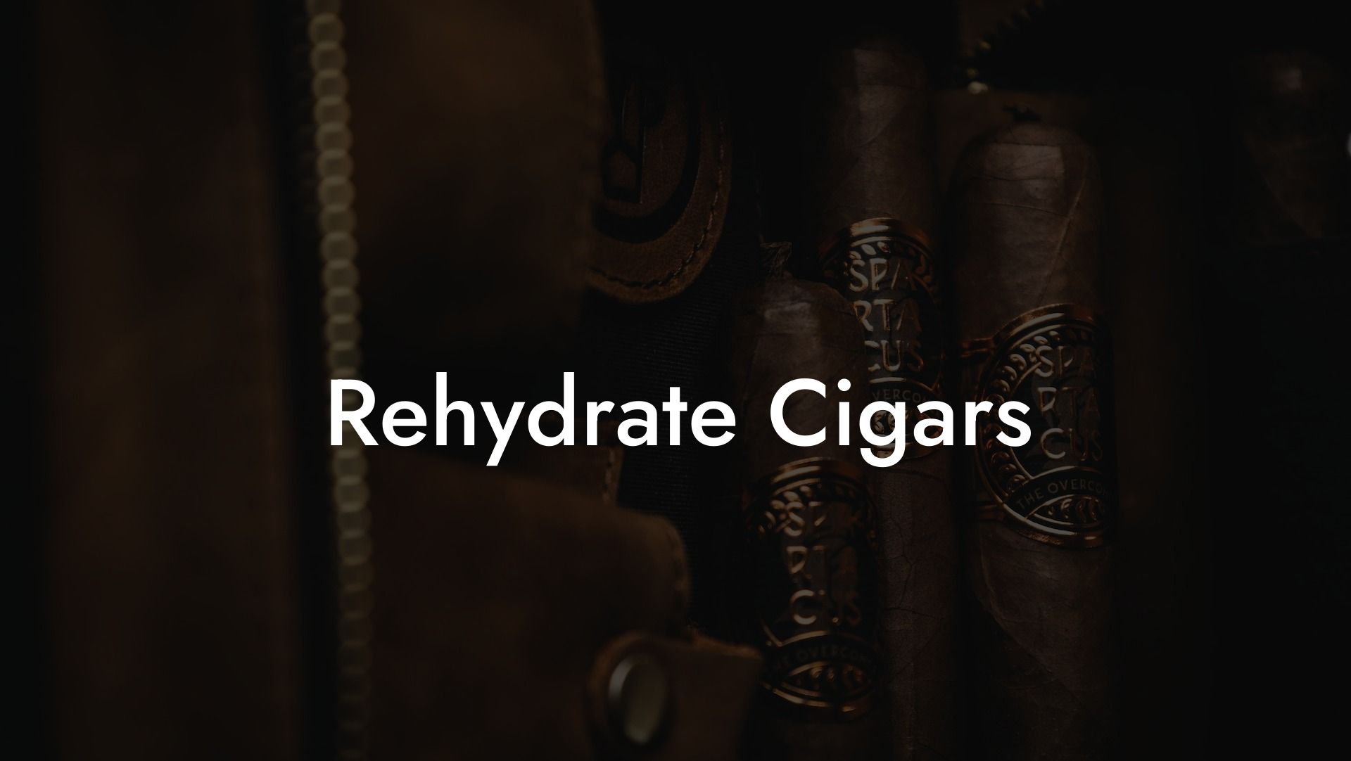 Rehydrate Cigars