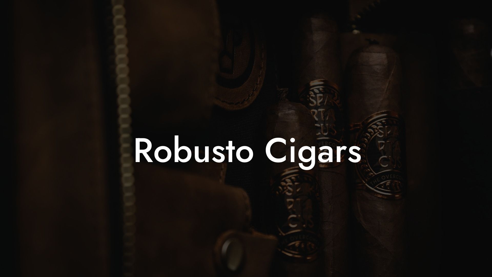 Robusto Cigars