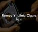 Romeo Y Julieta Cigars Mini