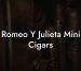 Romeo Y Julieta Mini Cigars