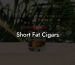 Short Fat Cigars