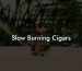 Slow Burning Cigars