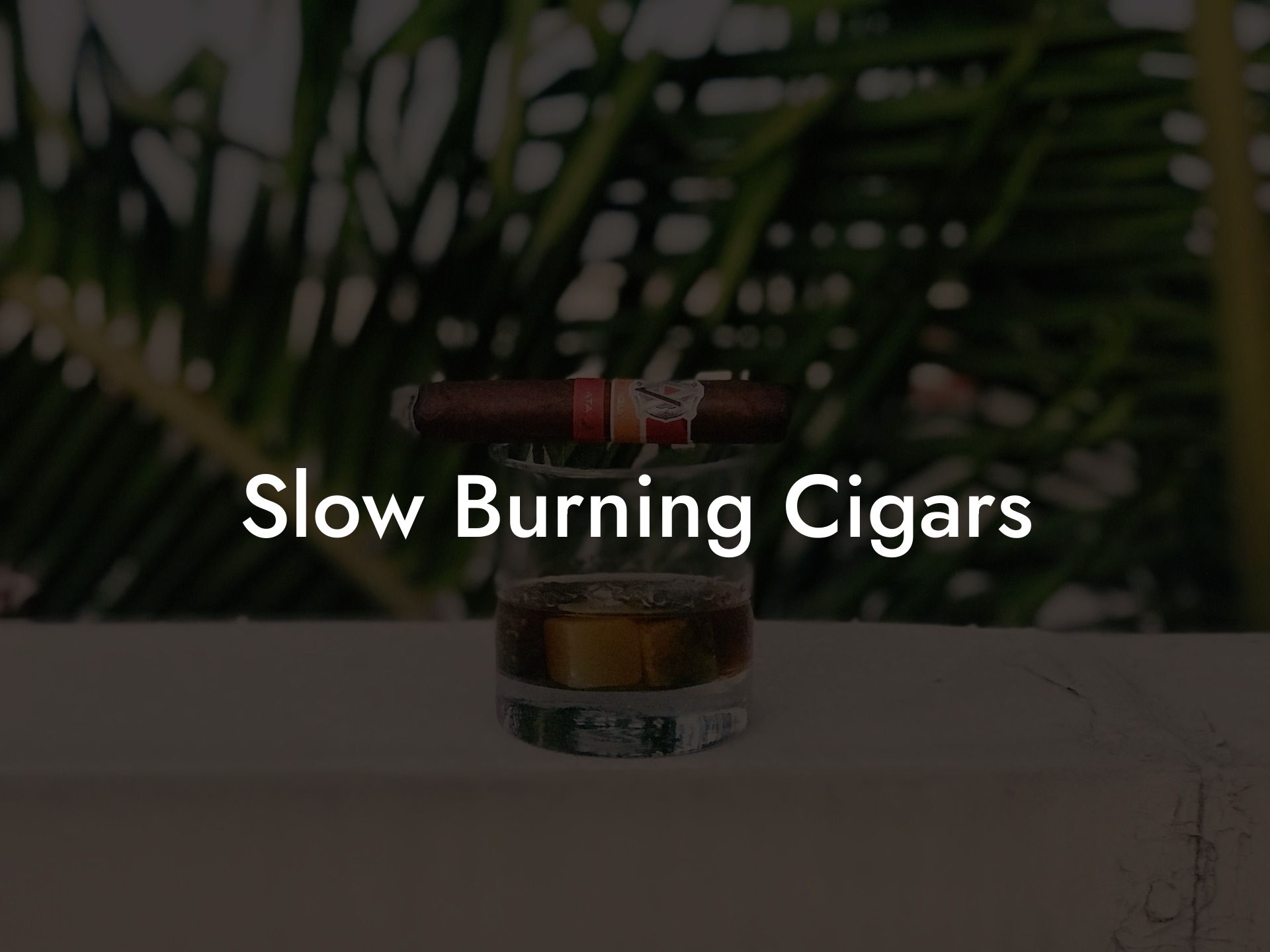 Slow Burning Cigars