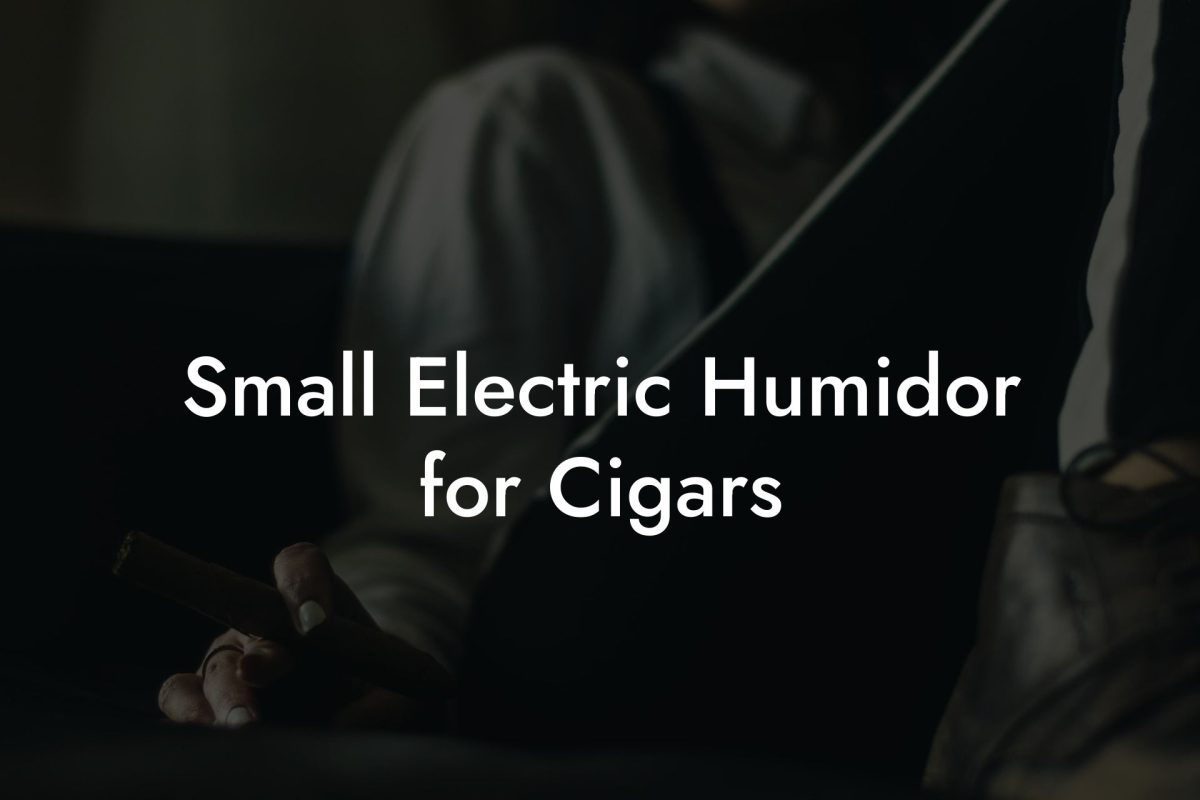 Small Electric Humidor for Cigars