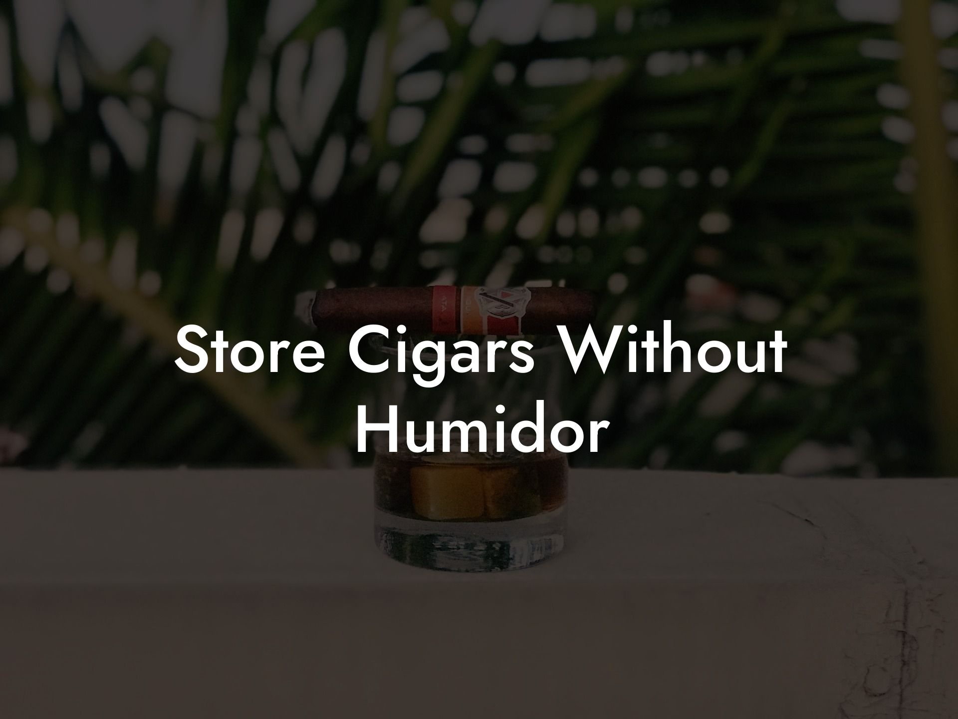 Store Cigars Without Humidor