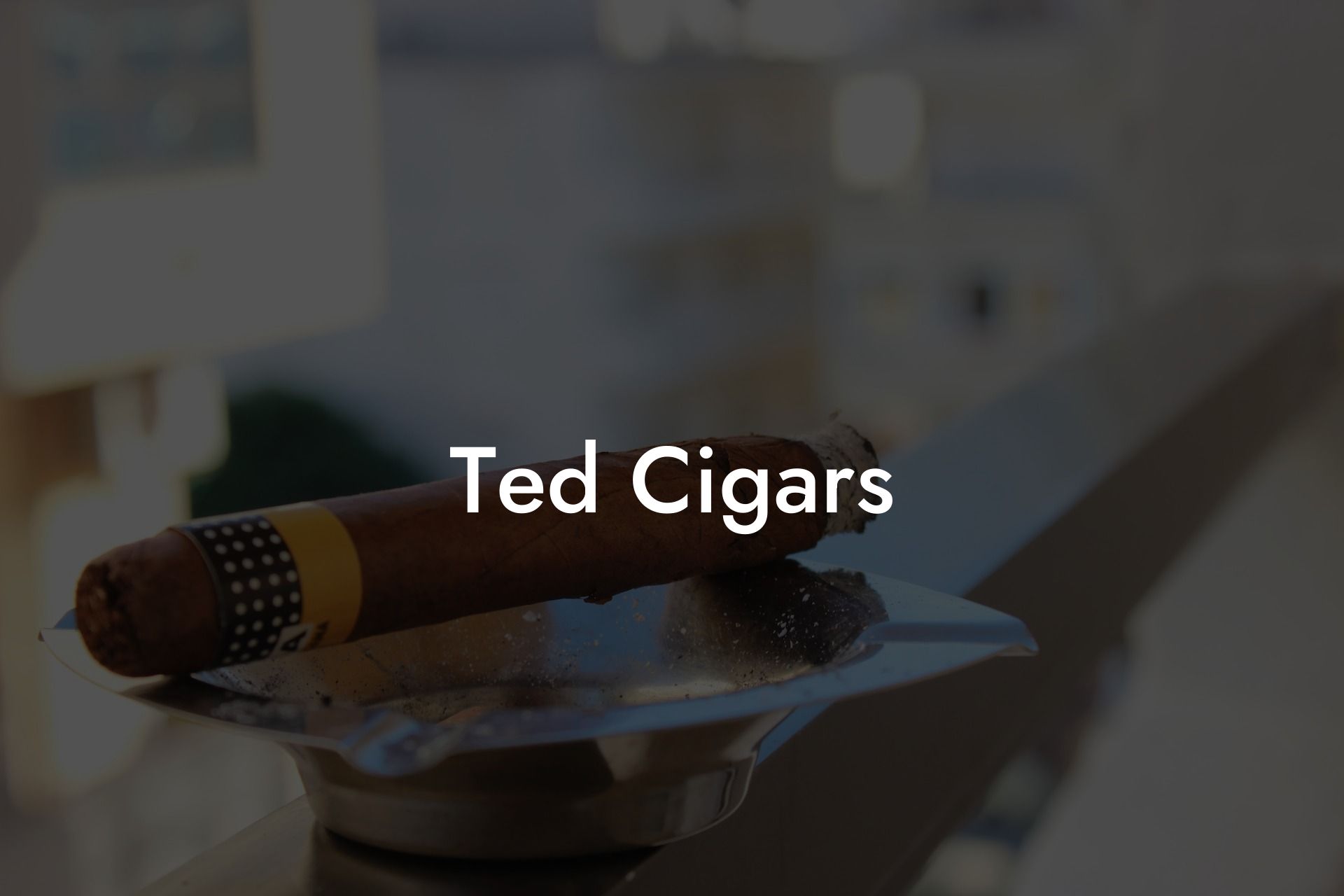 Ted Cigars