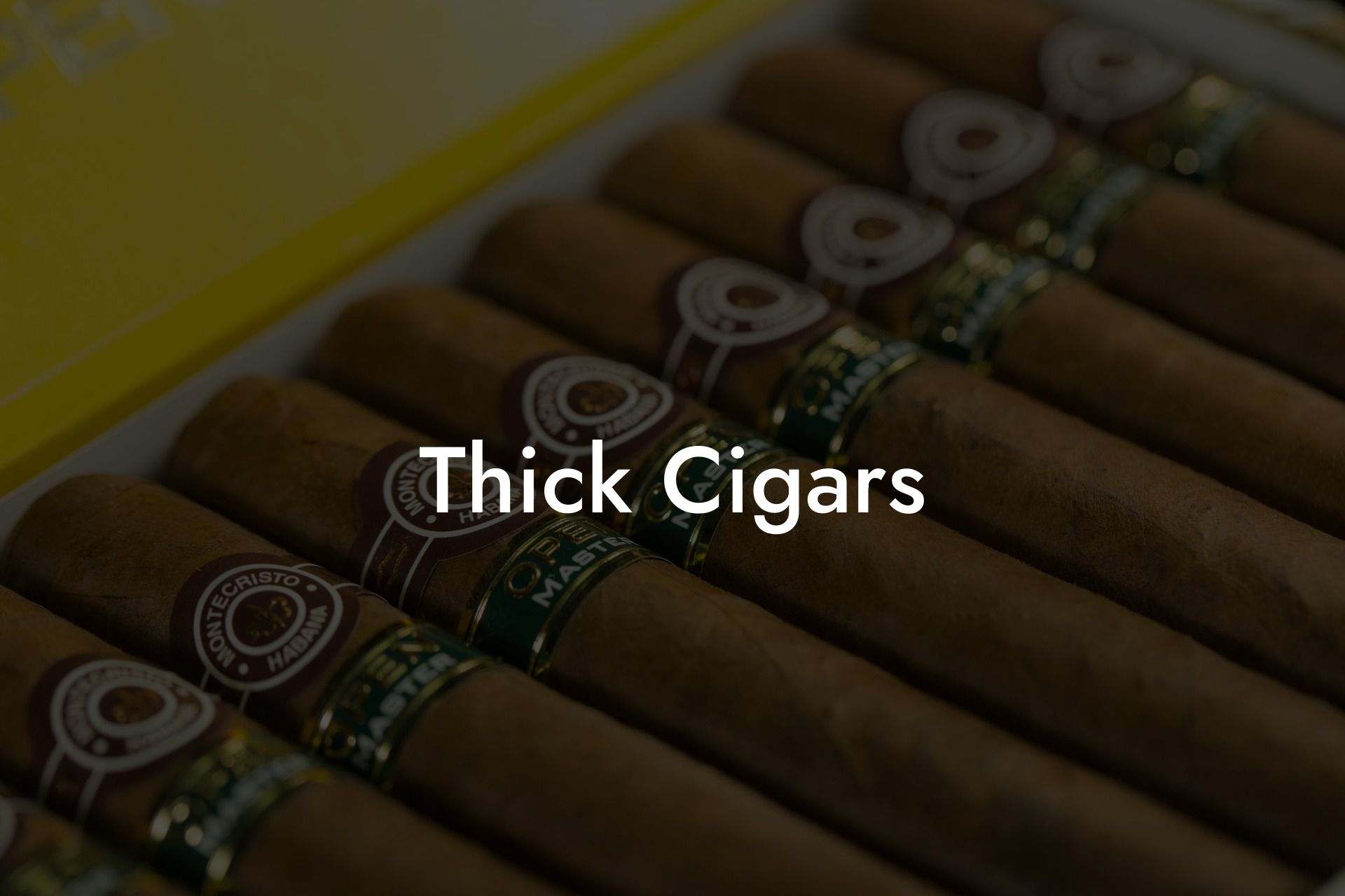 Thick Cigars