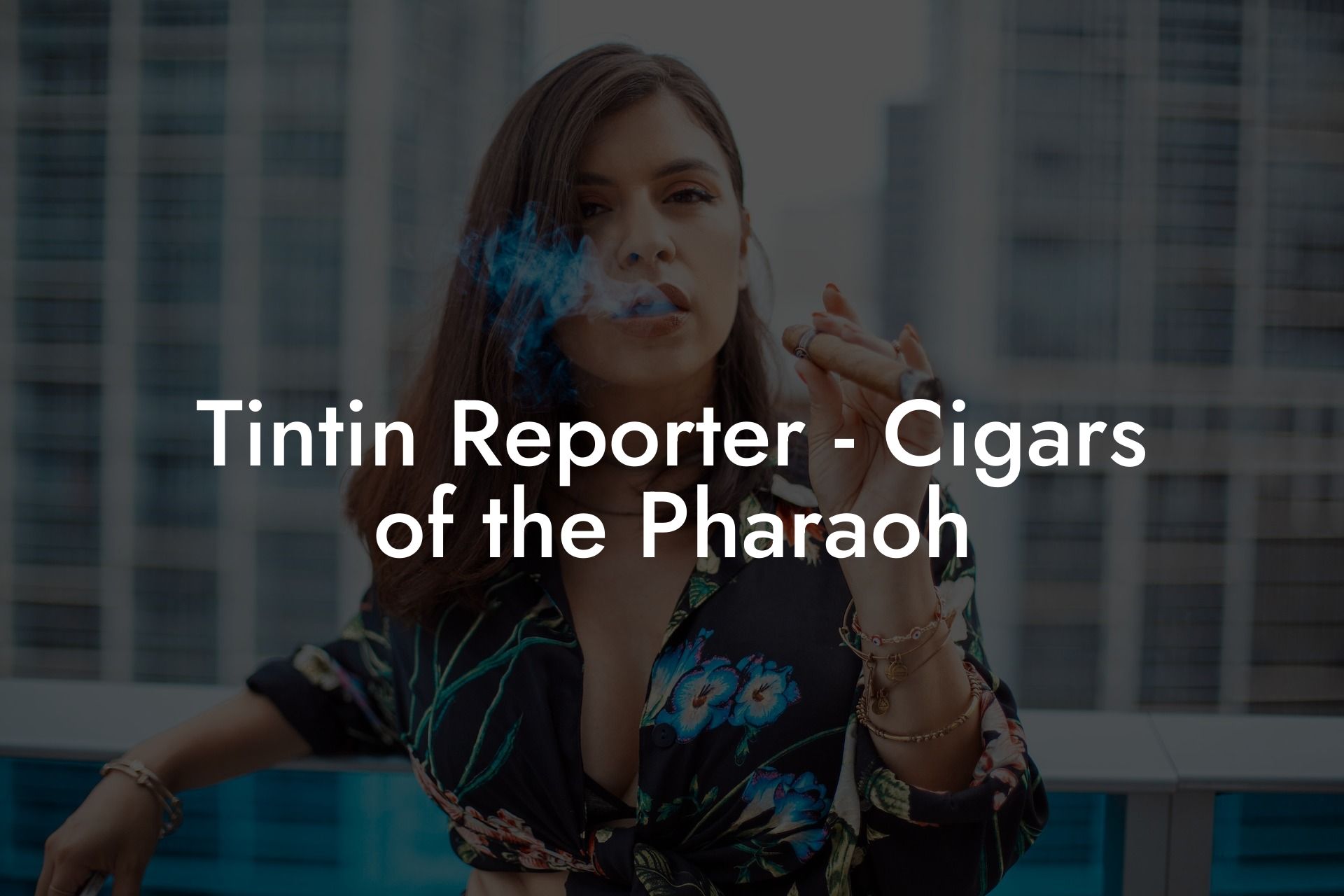 Tintin Reporter: Cigars of the Pharaoh