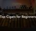 Top Cigars for Beginners