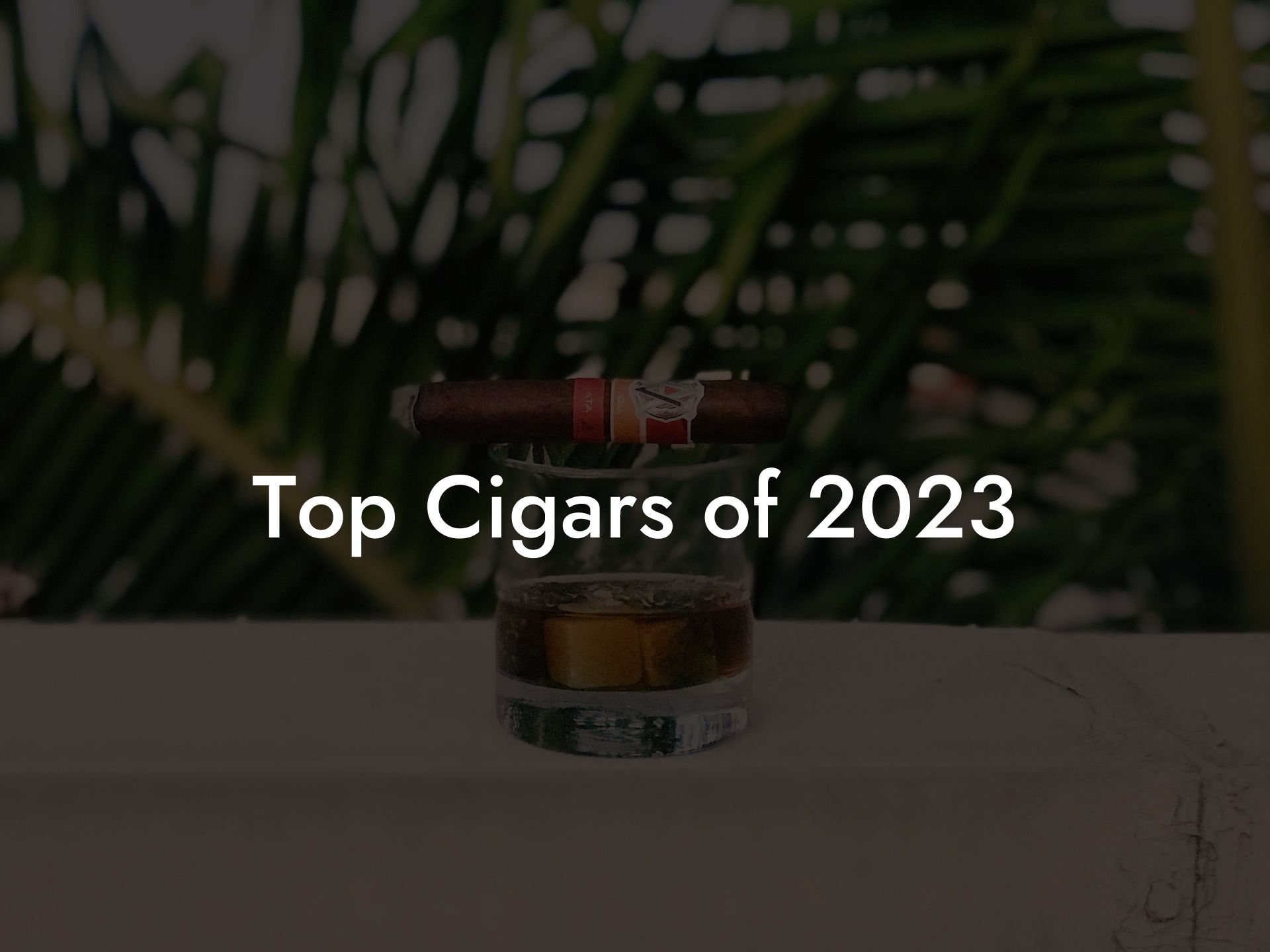 Top Cigars of 2023