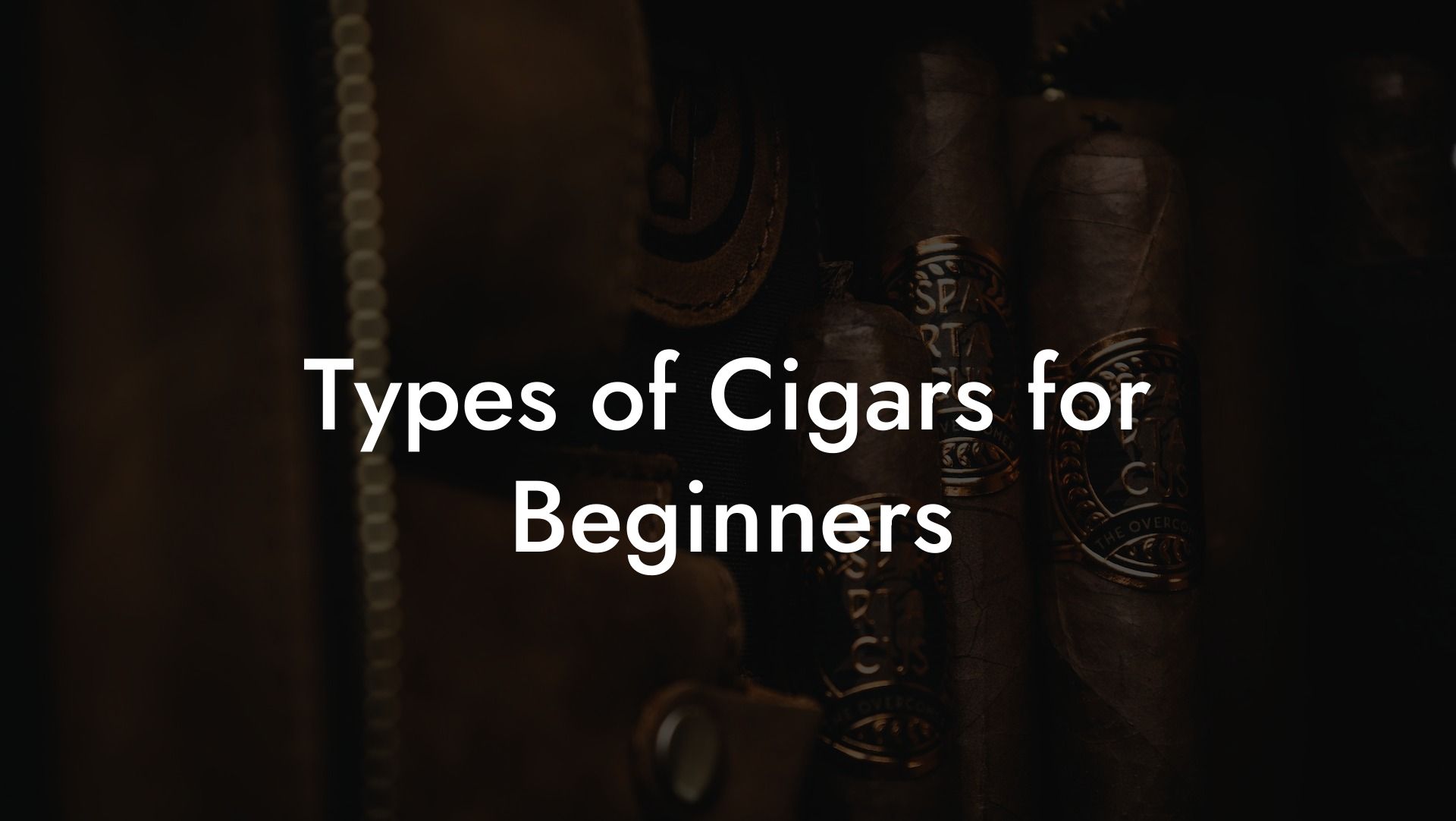 Types of Cigars for Beginners